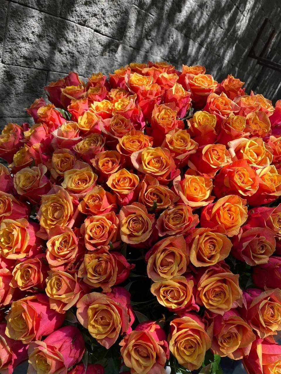 Bunch of roses | ծաղիկներ, ծաղկեպսակներ, բույսեր Երևան