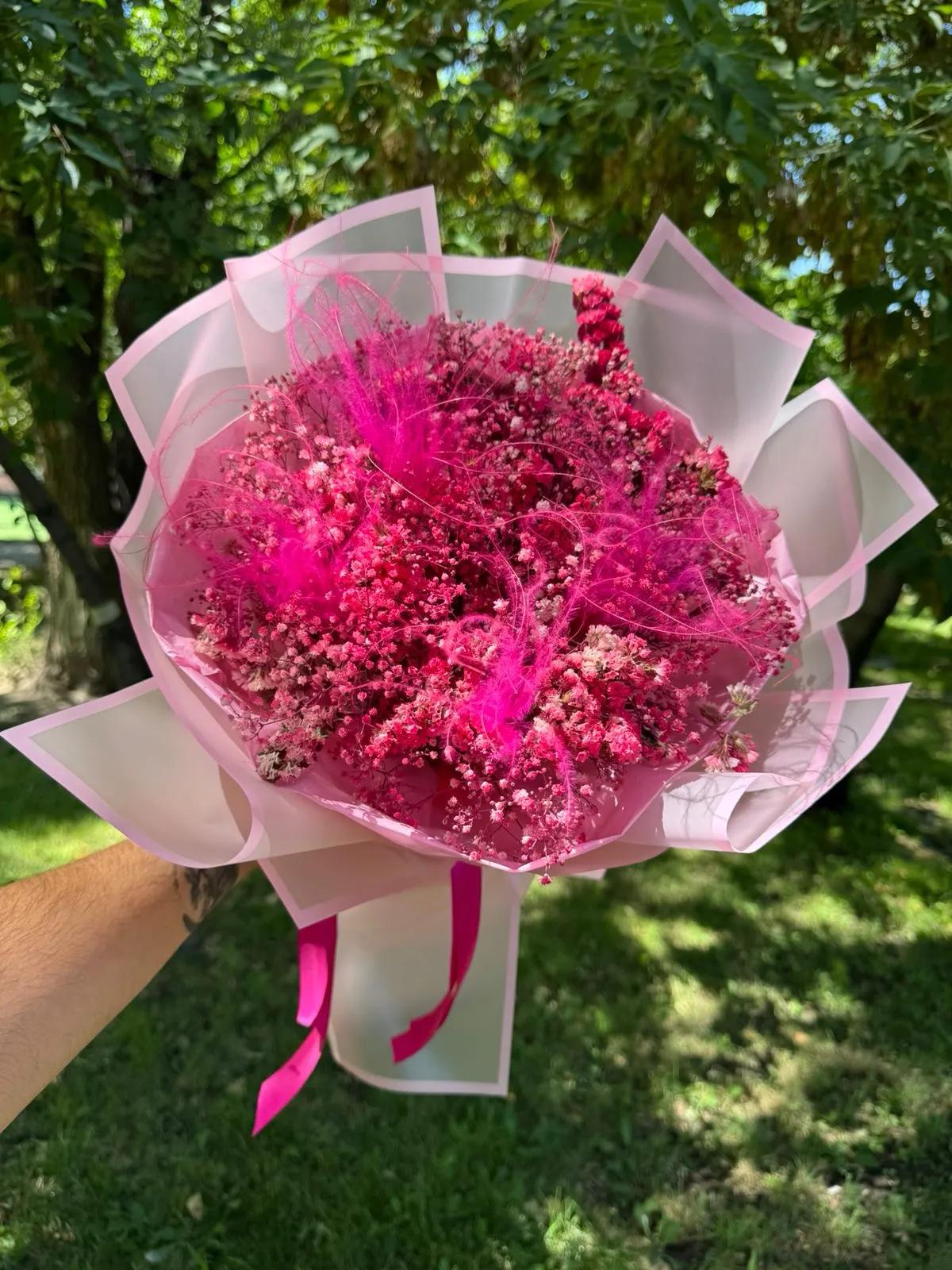 Pink gypsophilies | ծաղիկներ, ծաղկեպսակներ, բույսեր Երևան