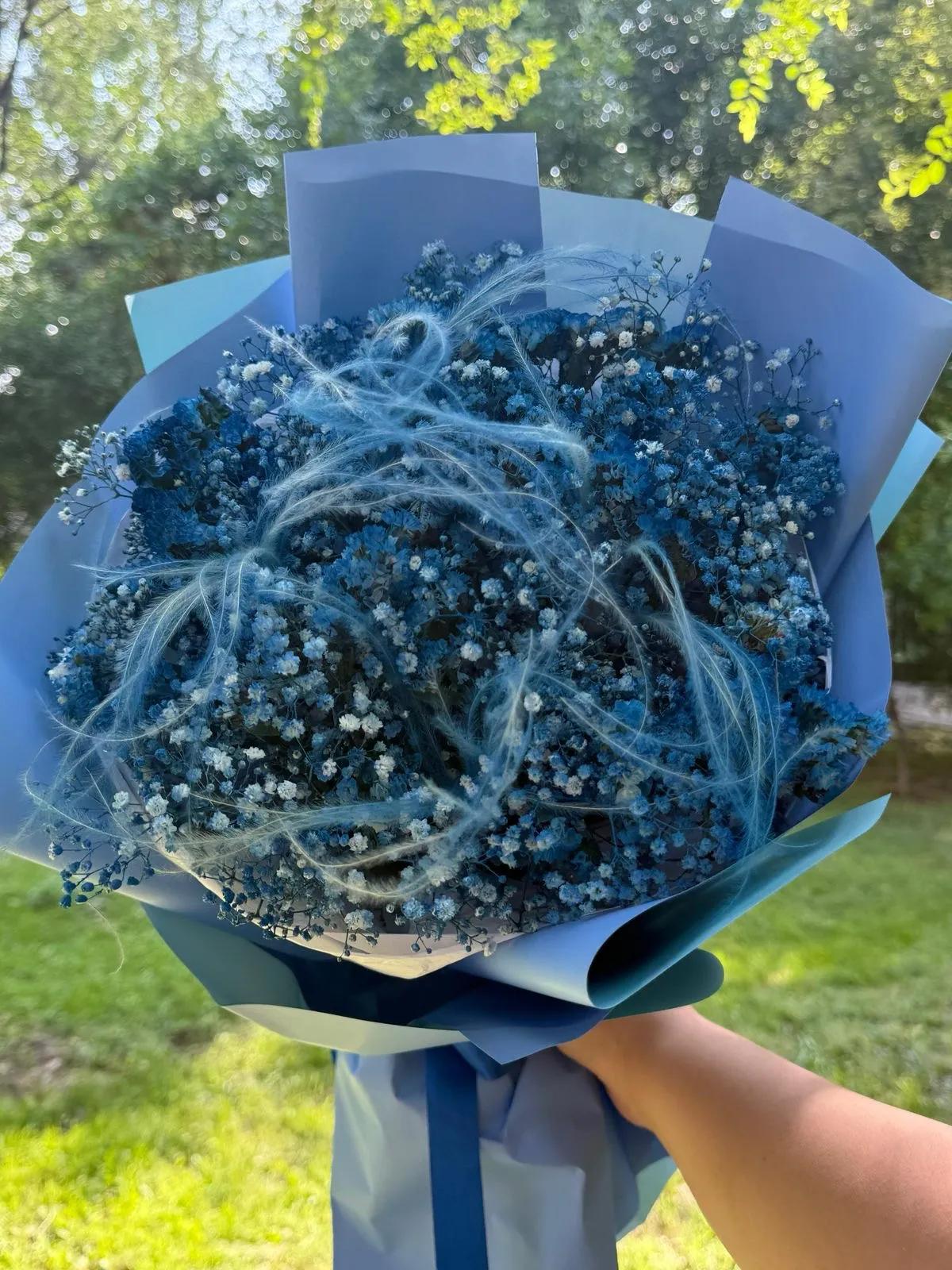 Blue gypsophilies | ծաղիկներ, ծաղկեպսակներ, բույսեր - առաքում Երևան