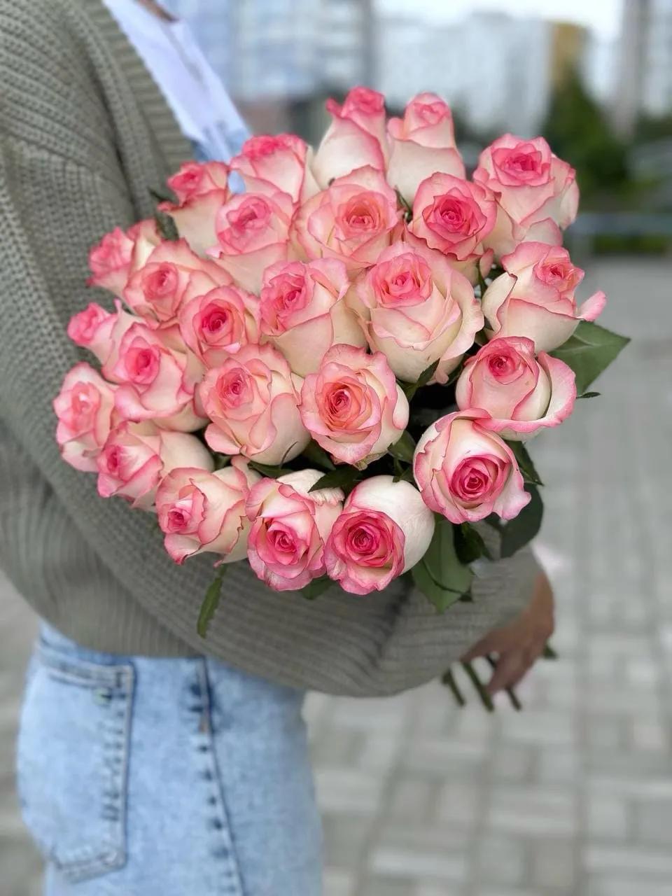 Dutch roses | ծաղիկներ, ծաղկեպսակներ, բույսեր Երևան