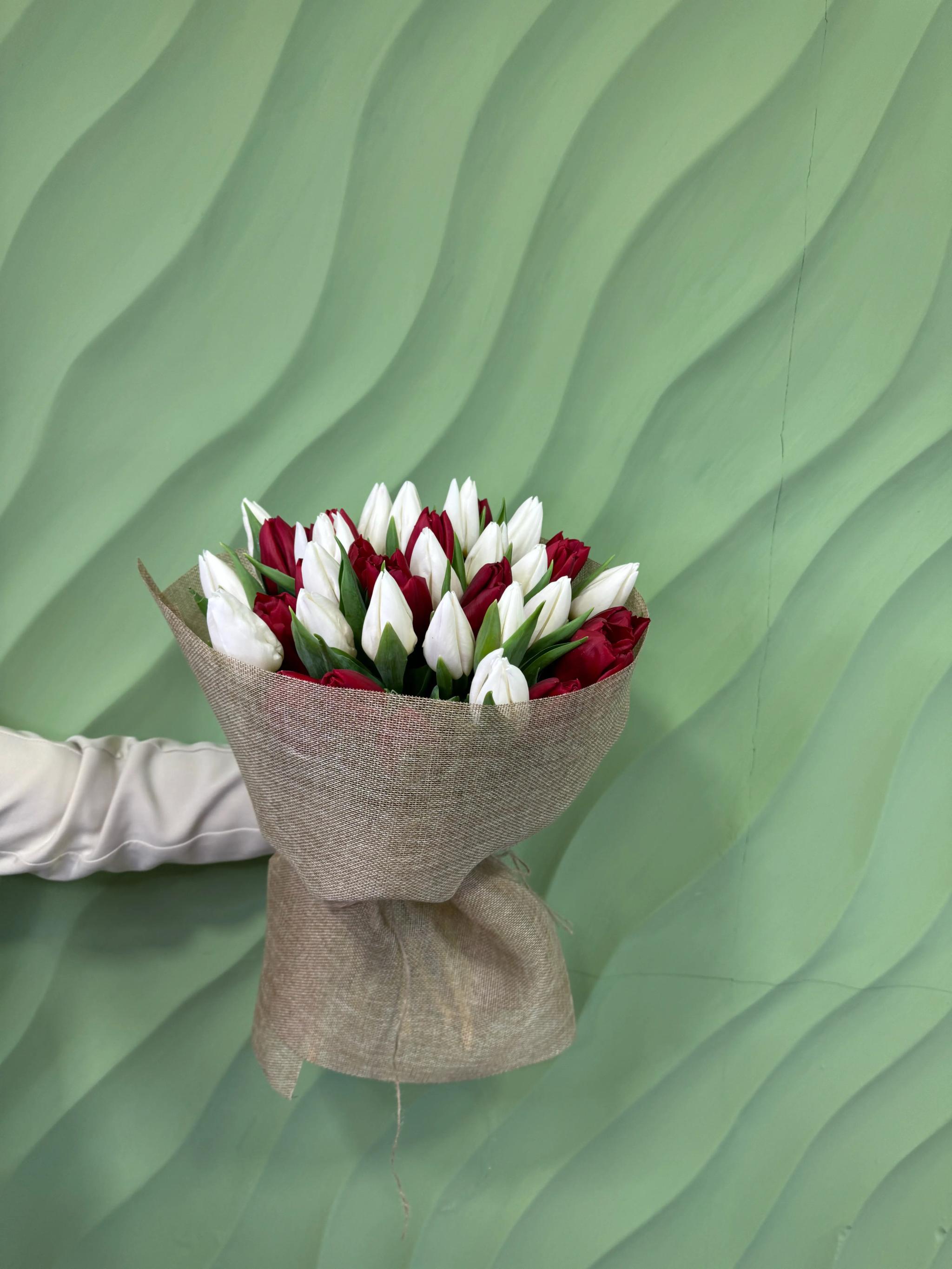 Tulips | ծաղիկներ, ծաղկեպսակներ, բույսեր Երևան