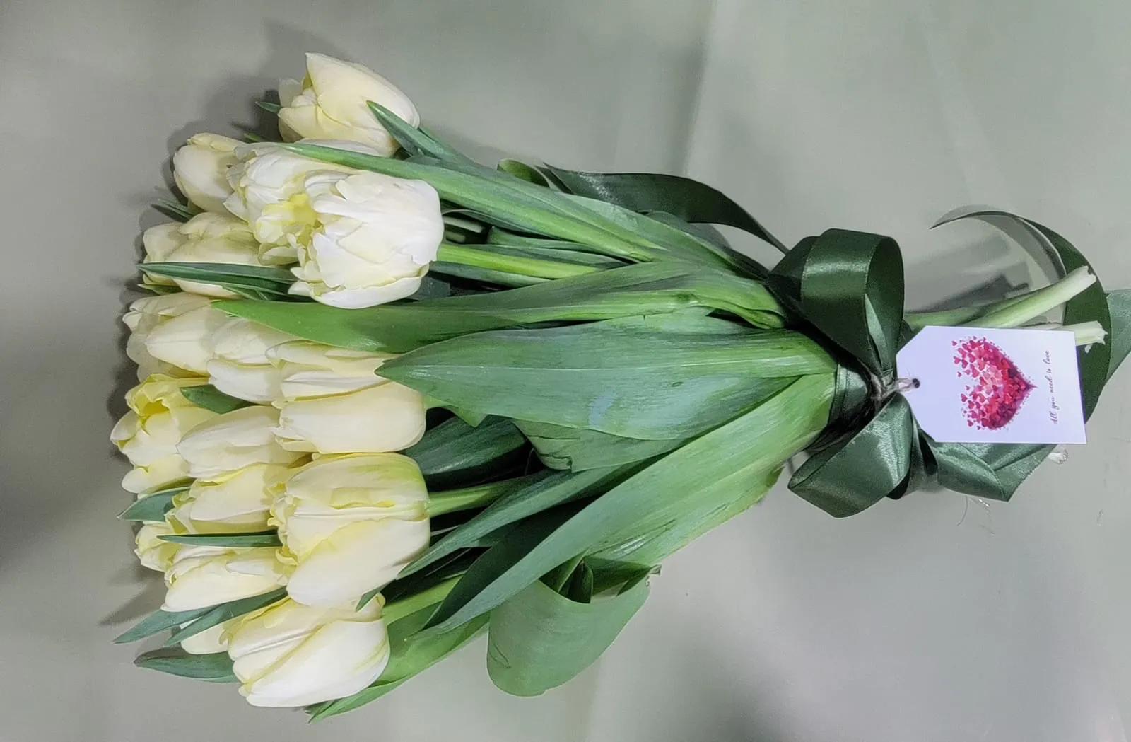 Tulips | ծաղիկներ, ծաղկեպսակներ, բույսեր Երևան